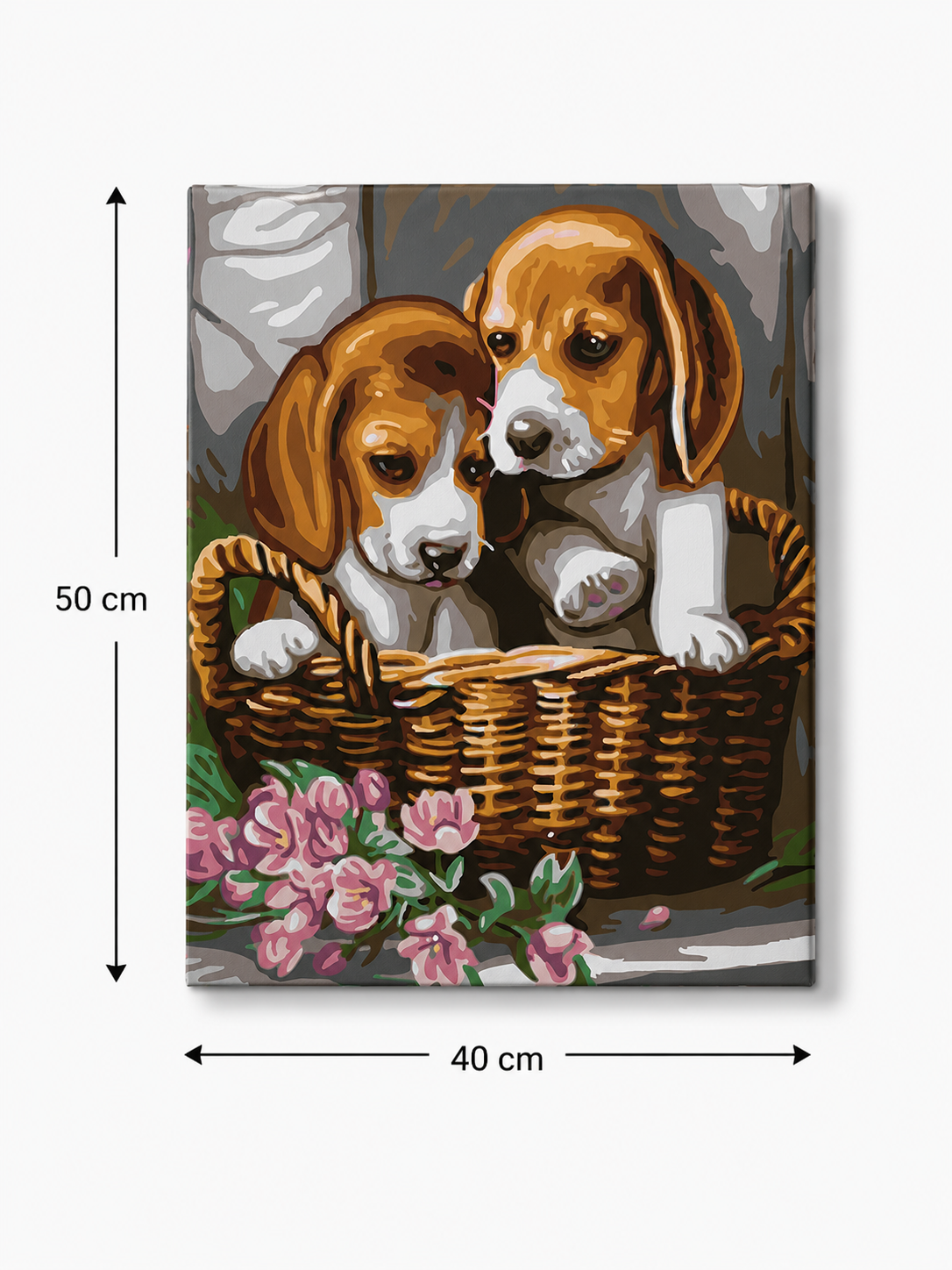 PAINT BY NUMBERS WITH FRAME Paintings - Dogs in a Basket 40 x 50 cm, photo 7