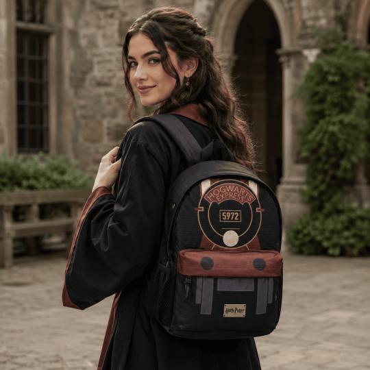 Harry Potter Express School and Work Backpack, Spacious 31x44x18 cm, photo 10