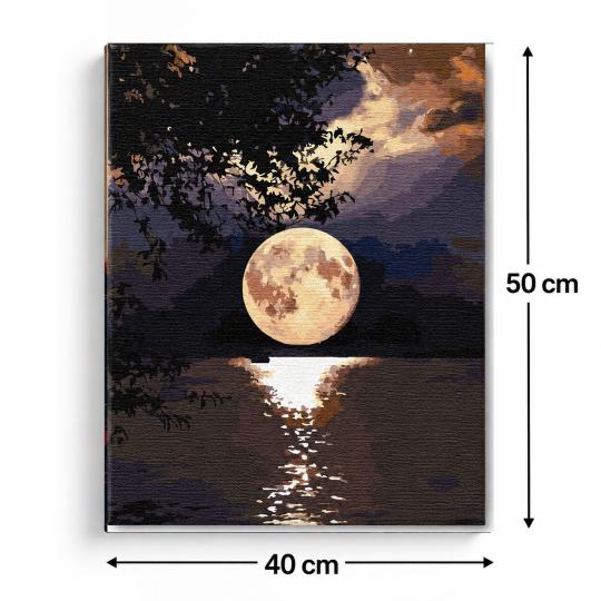 PAINT BY NUMBERS WITH FRAME Paintings - Full Moon 40x50 cm, photo 3