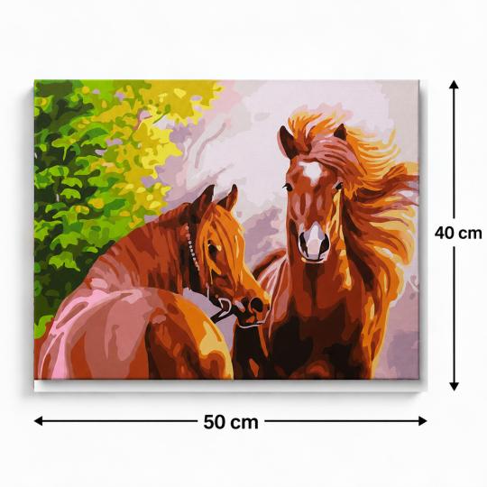 MALOWANIE PO NUMERACH Z RAMĄ Obrazy do malowania - Dzikie Konie 50x40 cm, zdjęcie 3