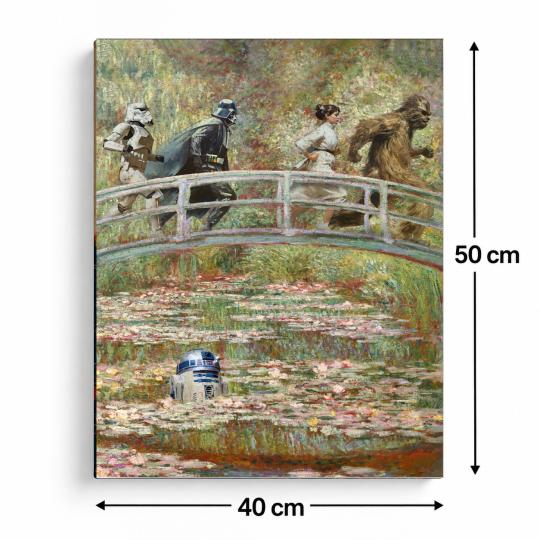 PAINT BY NUMBERS WITH FRAME Paintings to Paint - Monet Style Star Wars 40x50 cm, photo 3