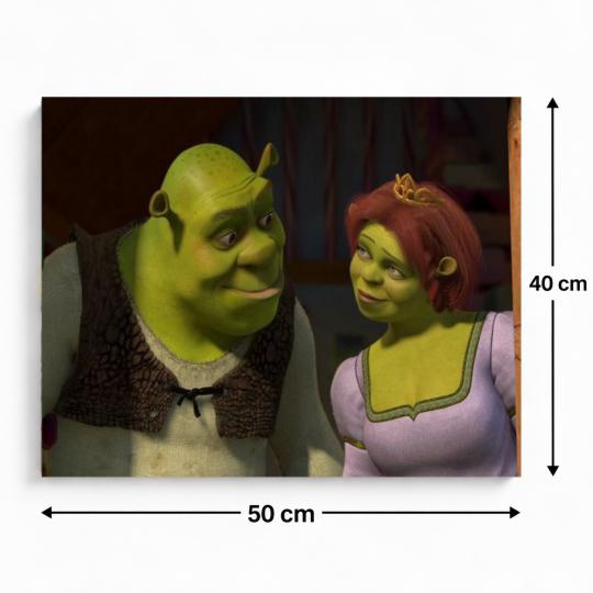 PAINT BY NUMBERS WITH FRAME Paintings to Paint - Shrek and Fiona 50x40 cm, photo 3