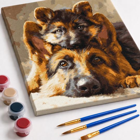 Paint by Numbers – Adorable Shepherd Dogs 40x50 cm, photo 4