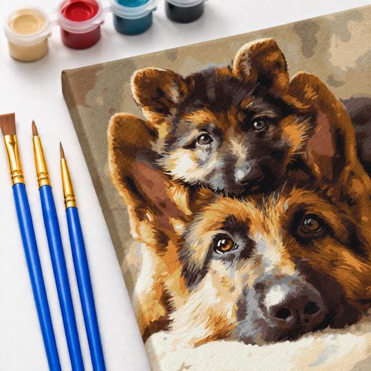 Paint by Numbers – Adorable Shepherd Dogs 40x50 cm, photo 5
