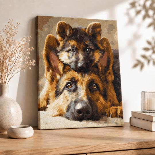 Paint by Numbers – Adorable Shepherd Dogs 40x50 cm, photo 8