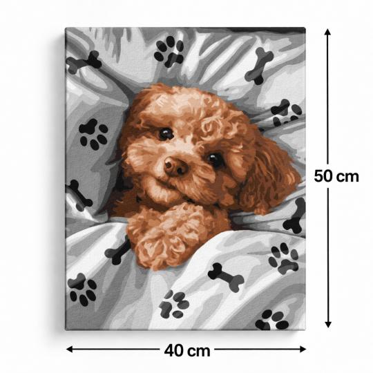 Paint by Numbers – Sleepy Puppy 40x50 cm, photo 3