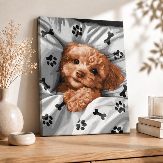 Paint by Numbers – Sleepy Puppy 40x50 cm, photo 8